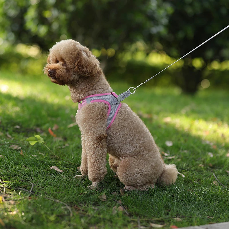 Dog Harness Leash Set for Small Dogs | Adjustable Puppy/Cat Harness Vest French Outdoor Walking Lead Leash