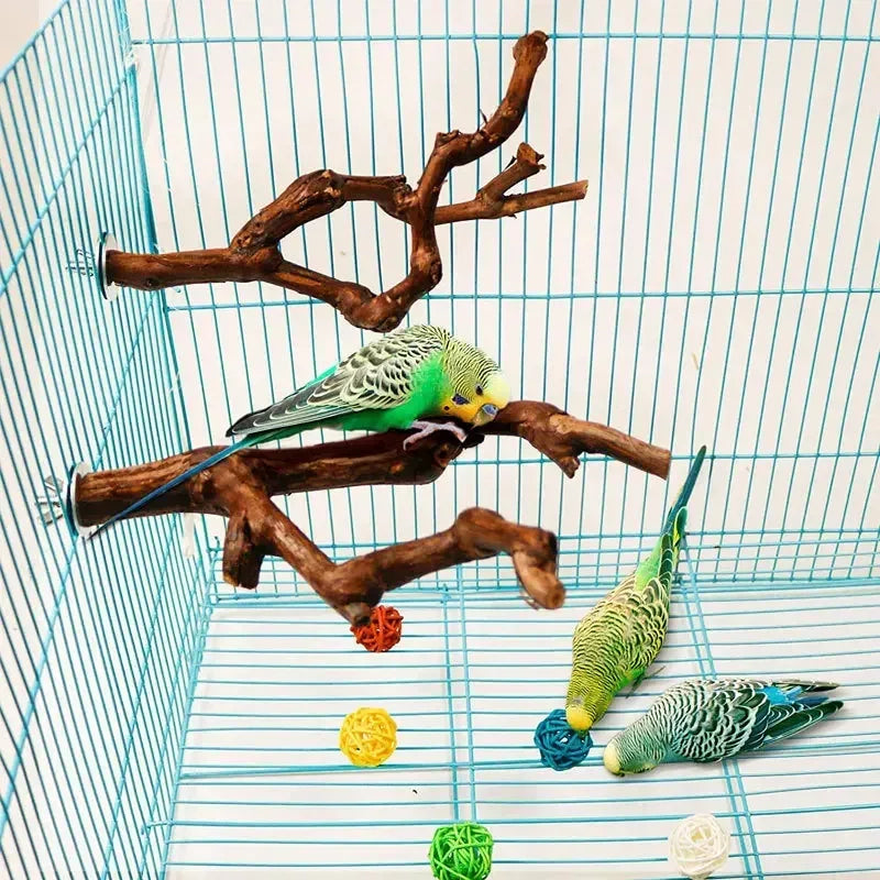 Standing Stick Wild Grape Wood Pole for Parrot/Cockatiel/Parakeet | Bite Claw Grinding Toy Bird Cage Accessories