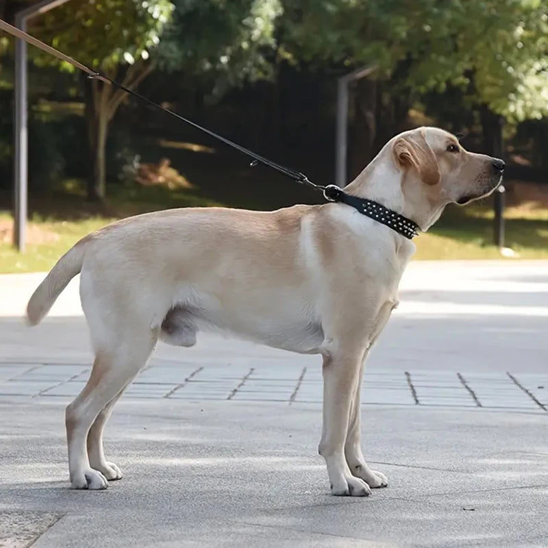 High Quality Dog Rivet Collar and Leash Set | Anti Bite  Collars for Medium Large Dogs