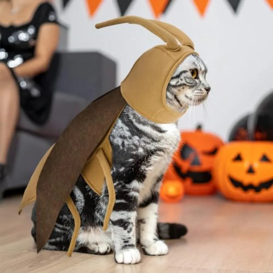 【Spot goods】Halloween Puppy and Cat Costume, Dog Cockroach Shaped Outfits Pet Festival Cosplay Apparel for Small Dogs Cats