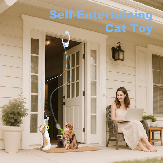 Electric Door Hanging Cat Toy | Retractable Interactive USB Rechargeable  Toys