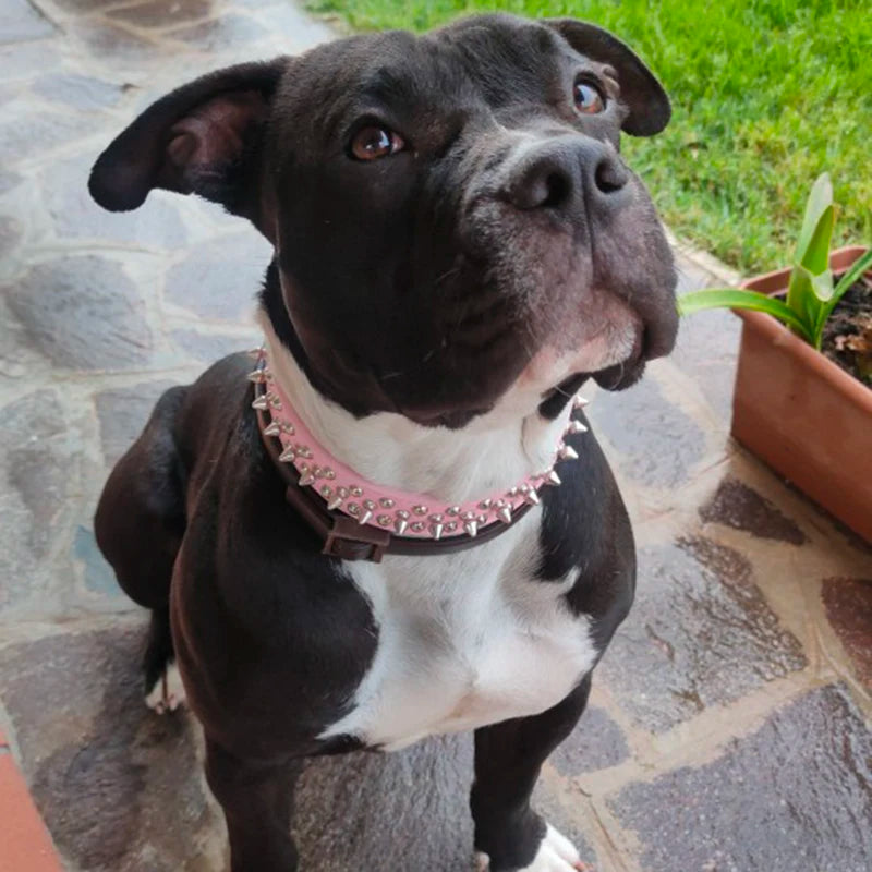 High Quality Dog Rivet Collar and Leash Set | Anti Bite  Collars for Medium Large Dogs