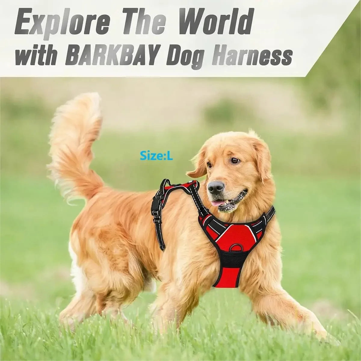 Dog Collars Harness, Big Vests Leash   for Dogs and  Puppy Medium Small Set