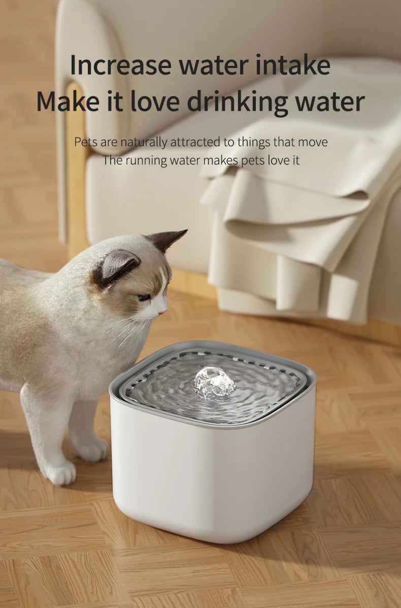 3L Cat Water Fountain Auto Recirculate Filter | Large Capacity | USB Electric Mute Cats Water Dispenser