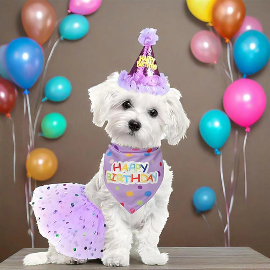 Cute Dog Birthday Costume Set | Adorable Party Hat with Matching Skirt and Scarf for Indoor and Outdoor Celebrations