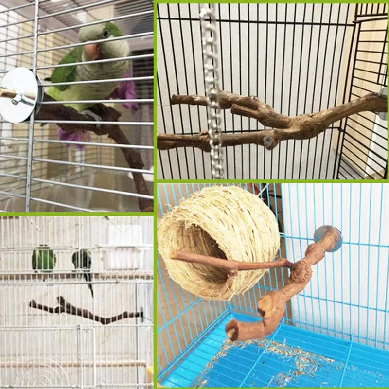 Standing Stick Wild Grape Wood Pole for Parrot/Cockatiel/Parakeet | Bite Claw Grinding Toy Bird Cage Accessories