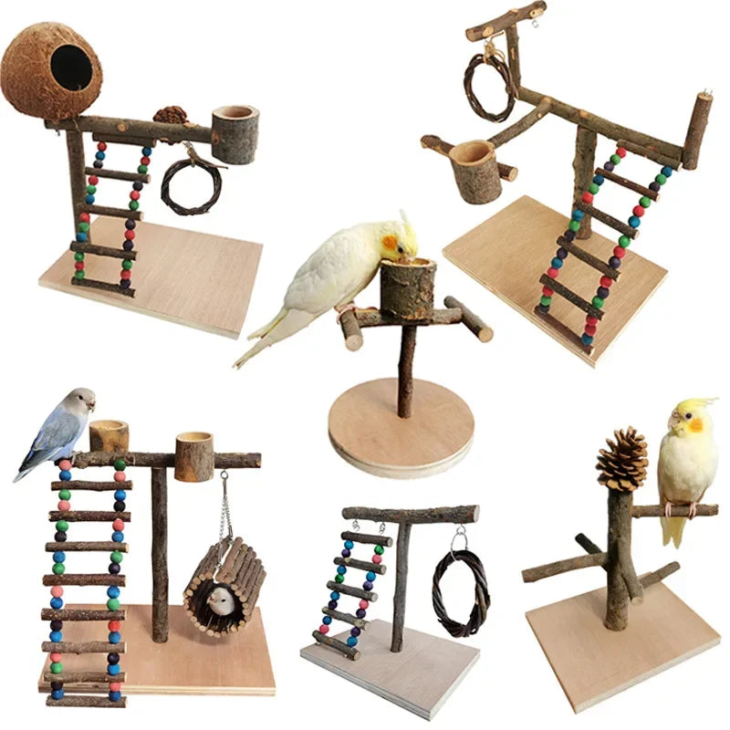 Solid Wood Parrot Stand Training | Wooden Pole Ladder Game Small Pet Interactive Amusement Park Desktop