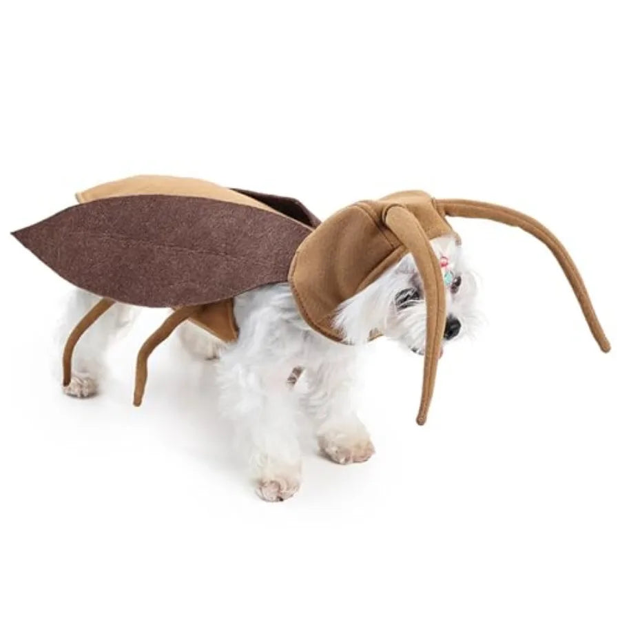 【Spot goods】Halloween Puppy and Cat Costume, Dog Cockroach Shaped Outfits Pet Festival Cosplay Apparel for Small Dogs Cats