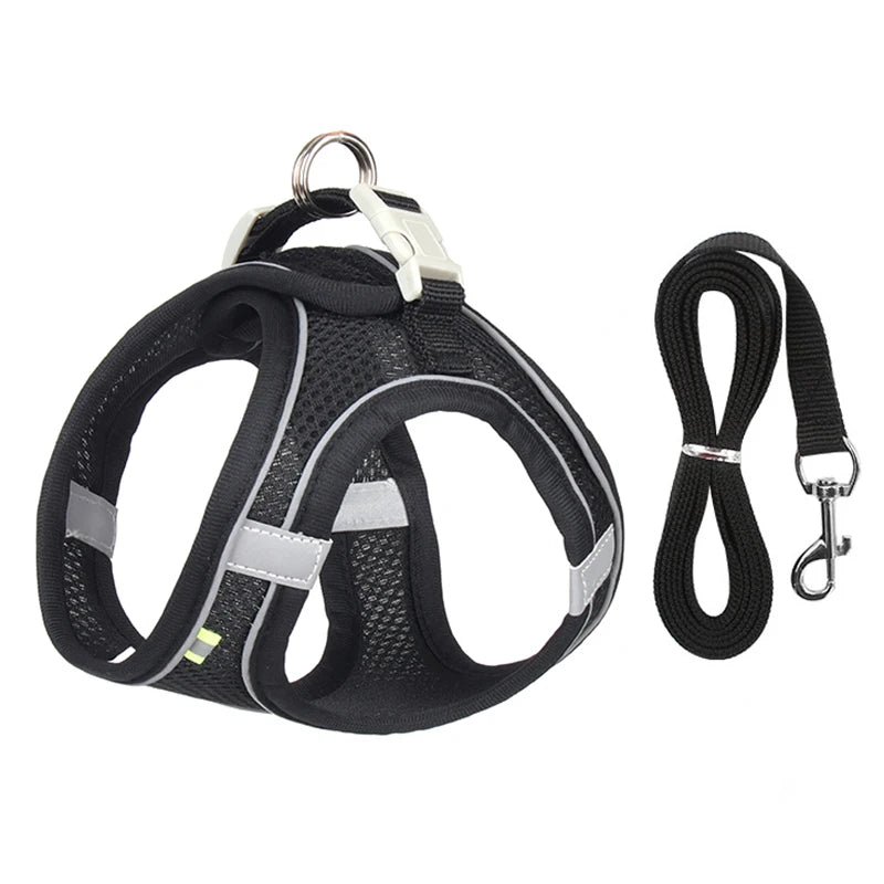 Dog Harness Leash Set for Small Dogs | Adjustable Puppy/Cat Harness Vest French Outdoor Walking Lead Leash