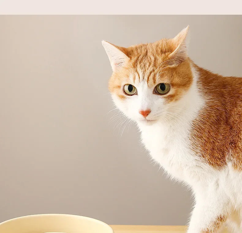 Ceramic Cat Dog Bowl, Ideal for Small and Medium-Sized Dogs, Slow Feeder Anti-Choking