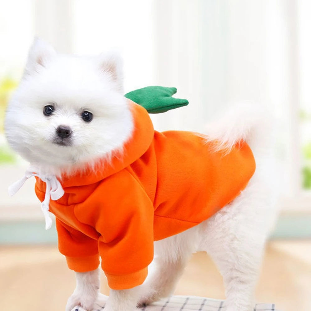 Cute Fruit Dog Clothes for Small Dogs | Hoodies Warm Fleece  Christmas Costume Coat for Dogs And Cats