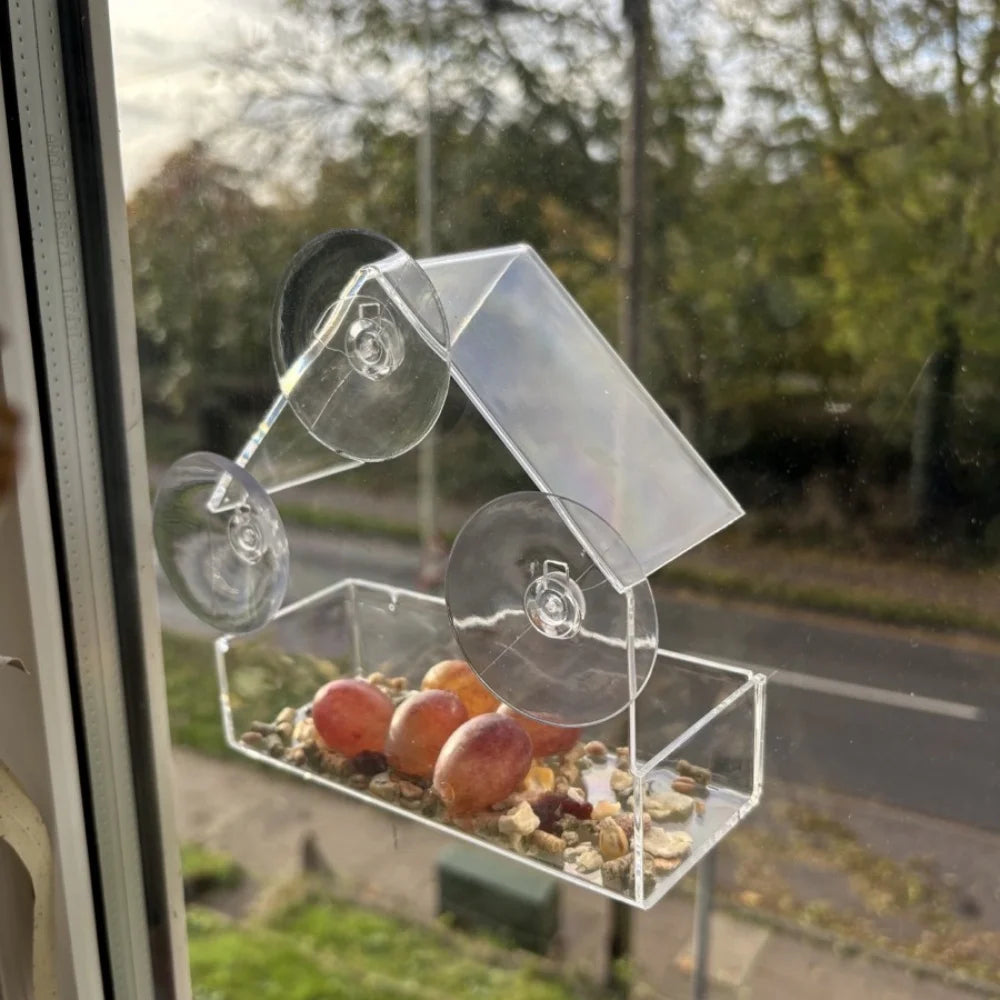 Transparent Bird Feeder Birds House for Outdoor Windo with Strong Suction Cups for Wild Birds