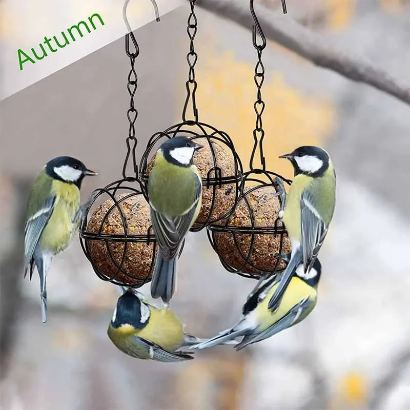 Metal Suet Ball Bird Feeder with Hanging Chain | Squirrel Proof Outdoor Garden Hummingbird Feeders | Ball Shape Grass Feeder