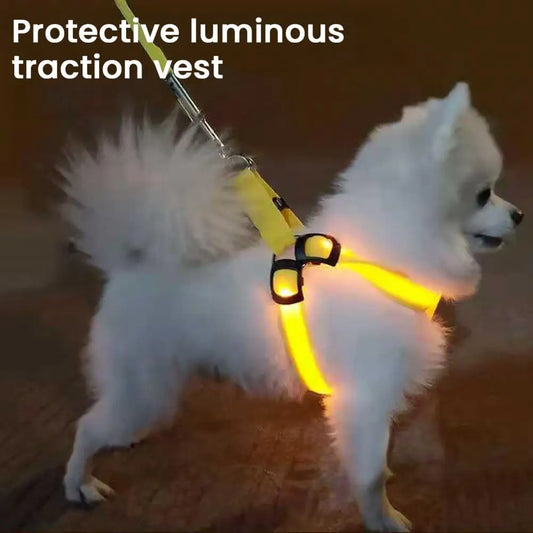 Adjustable LED Harness USB Rechargeable | Light Up Dog Harness | Glow-in-The-Dark Safety Vest | For Small Medium Dogs Pets Arnes
