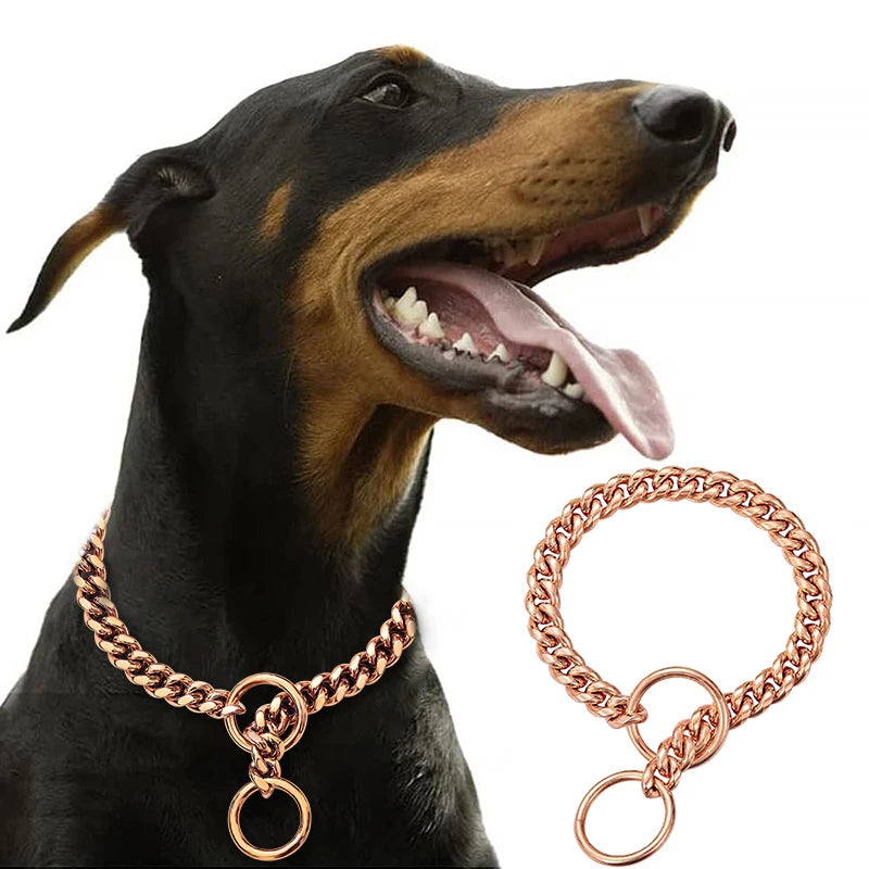 Stainless Chain Large Collar  Dogs Medium | Small Steel Gold  link for  Walking/Training