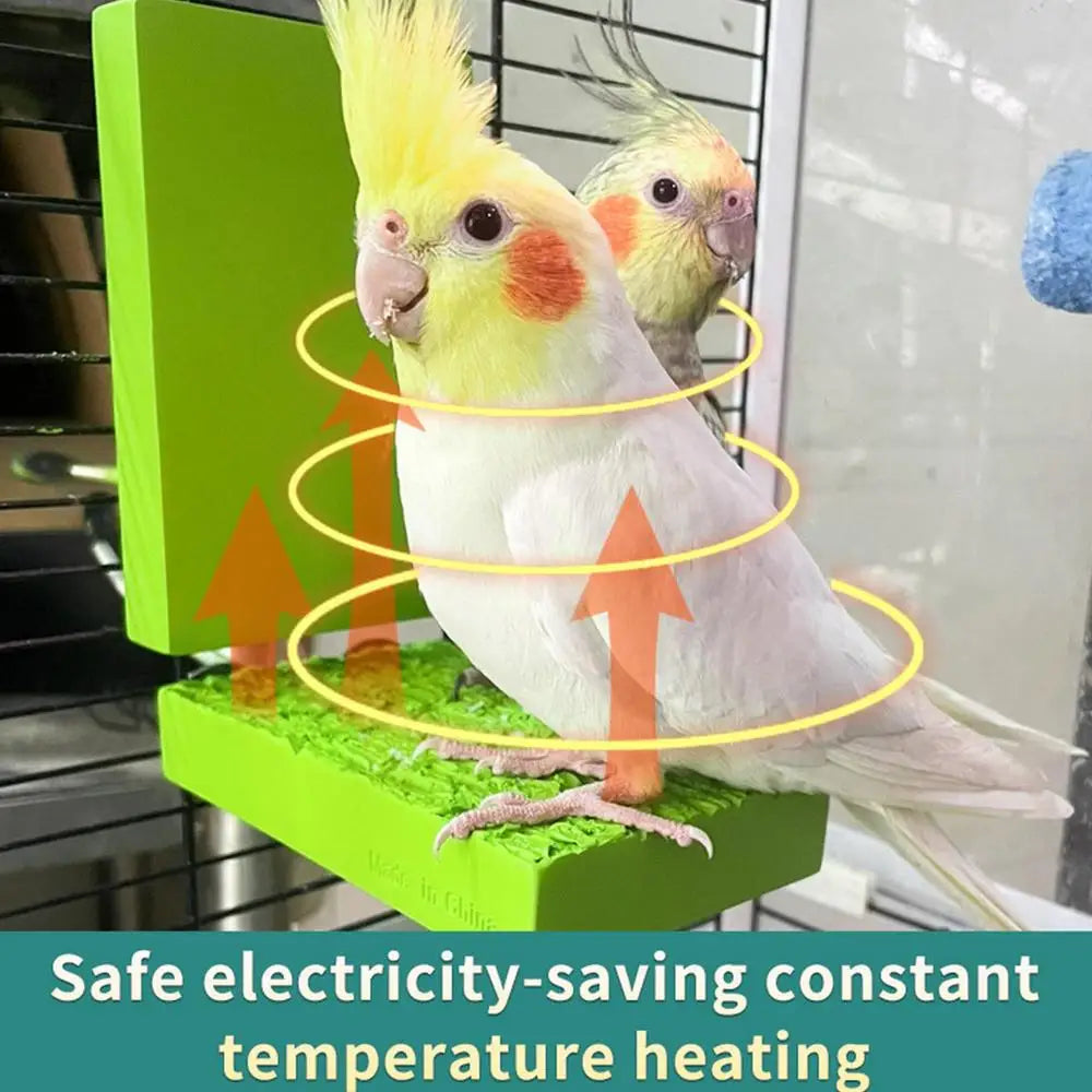 Bird Cage Heater Stand Platform |  Automatic Bird Platform Heater For Budgies