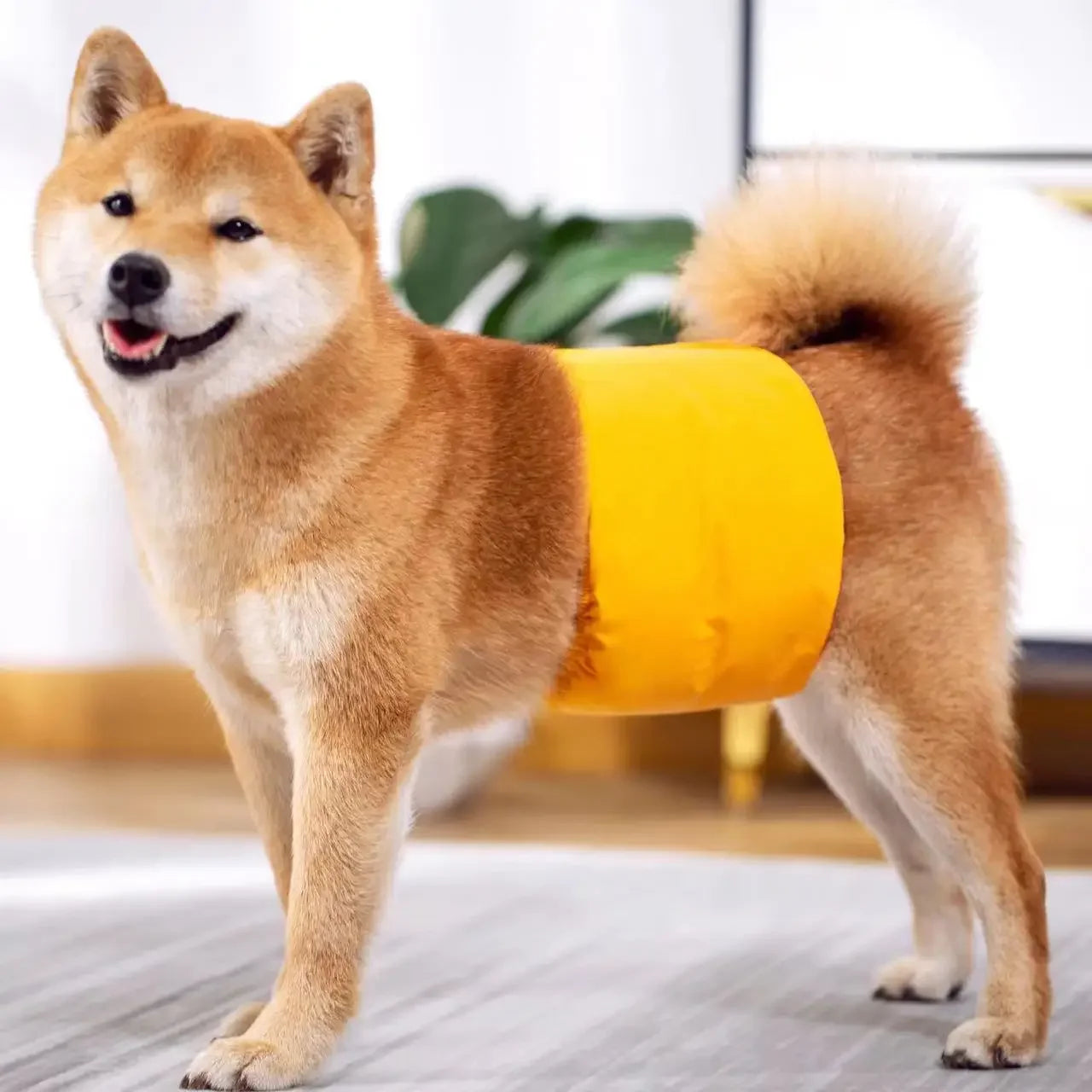 Reusable Male Dog Belly Bands, Washable & Adjustable Diapers, Anti-Mating Harassment, Estrus Safety Pants with Absorbent Layer