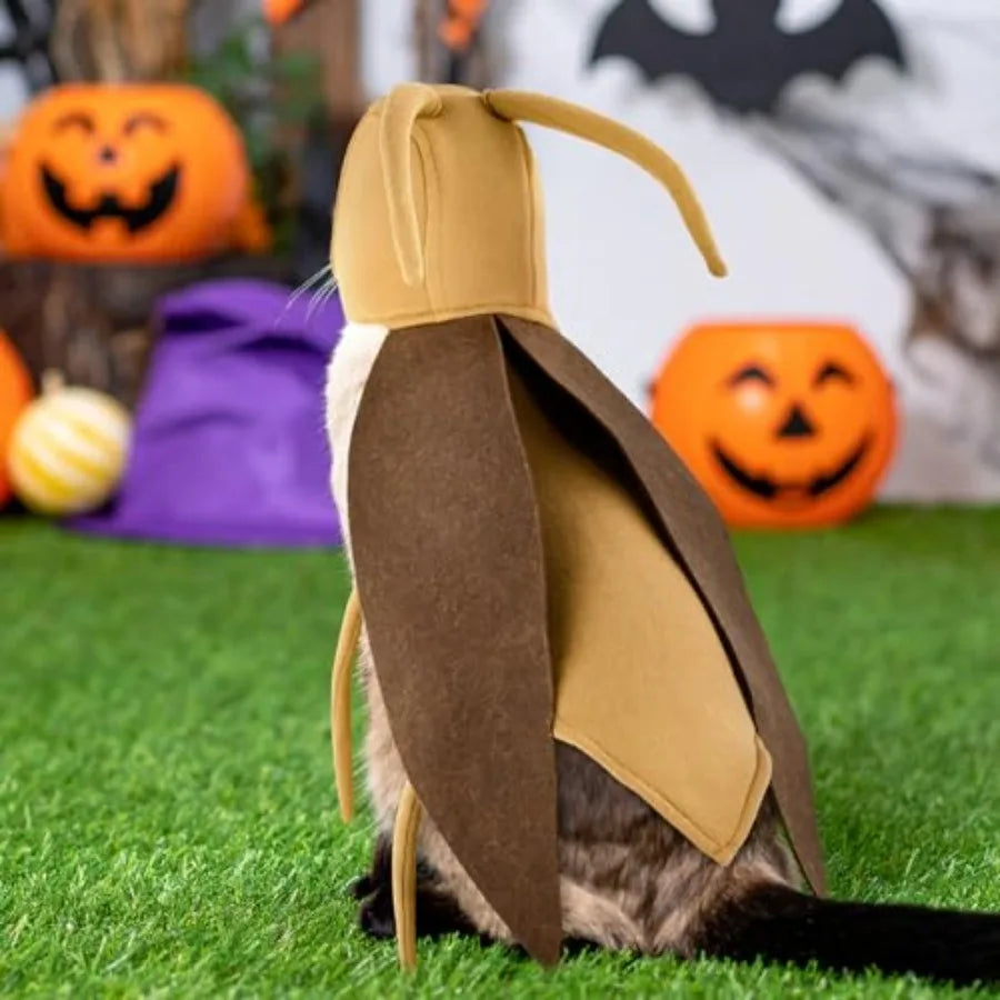 【Spot goods】Halloween Puppy and Cat Costume, Dog Cockroach Shaped Outfits Pet Festival Cosplay Apparel for Small Dogs Cats