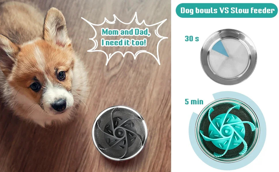 Pet Feeder Plugin Powerful Suction Cup, Slow Food Anti Choking Bowl,  Convenient Easy Clean Extended Dogs Eating Time