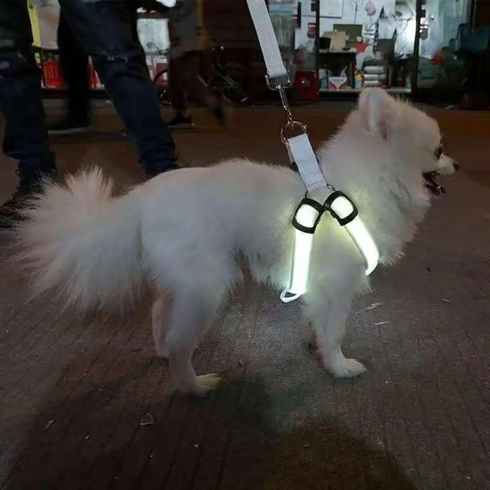 Adjustable LED Harness USB Rechargeable | Light Up Dog Harness | Glow-in-The-Dark Safety Vest | For Small Medium Dogs Pets Arnes