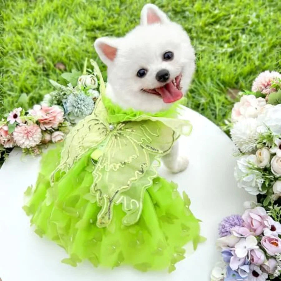 【Spot goods】Rainbow Butterfly Dog Dresses for Small Dog |  Lace Tutu Princess Dress Cat Outfit Butterfly Costume