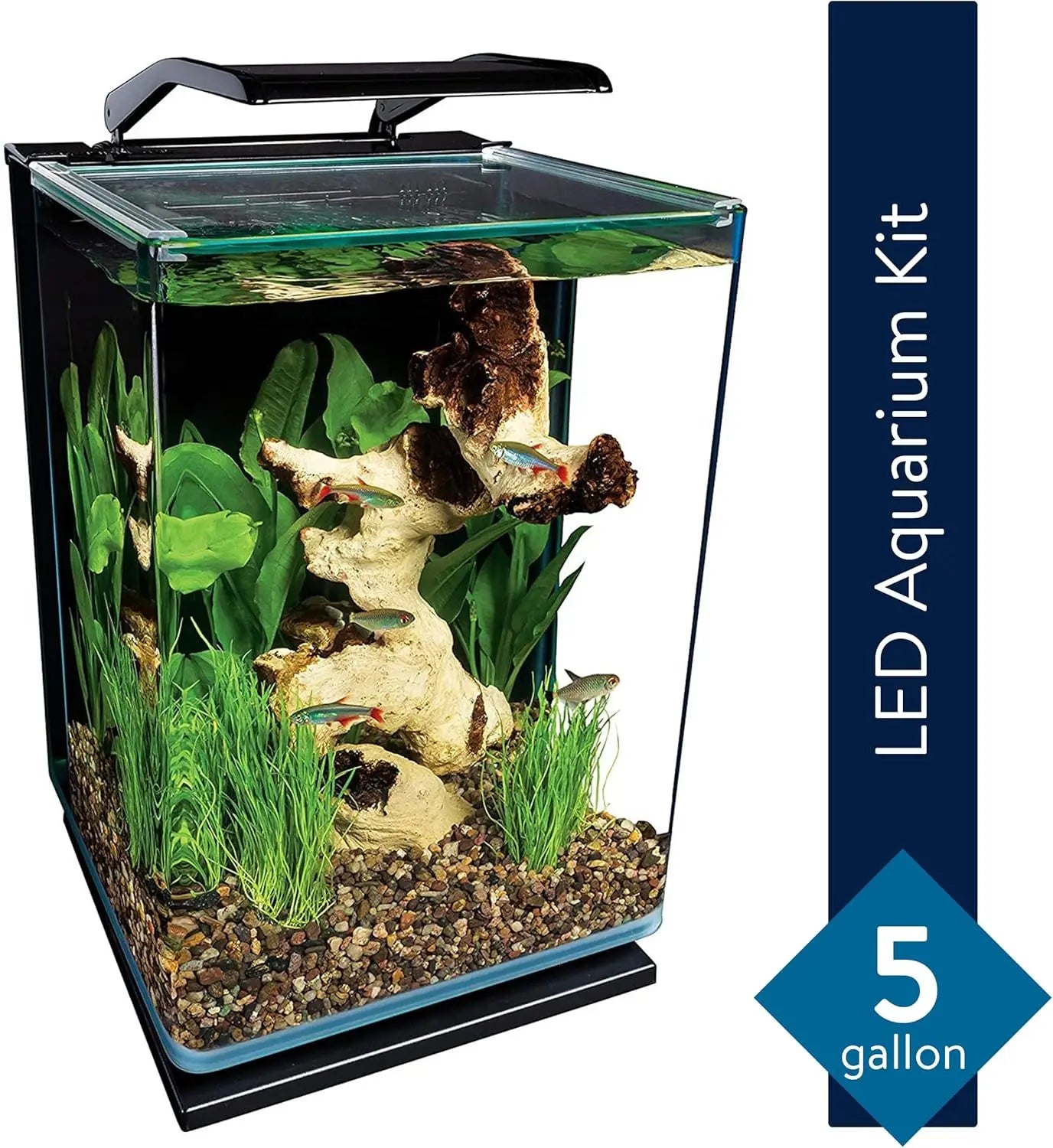 5-Gallon Glass LED Aquarium Kit with Hidden Filtration, Sleek Design and Dual Lighting