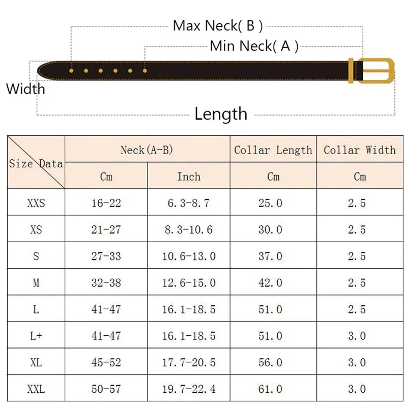 High Quality Dog Rivet Collar and Leash Set | Anti Bite  Collars for Medium Large Dogs