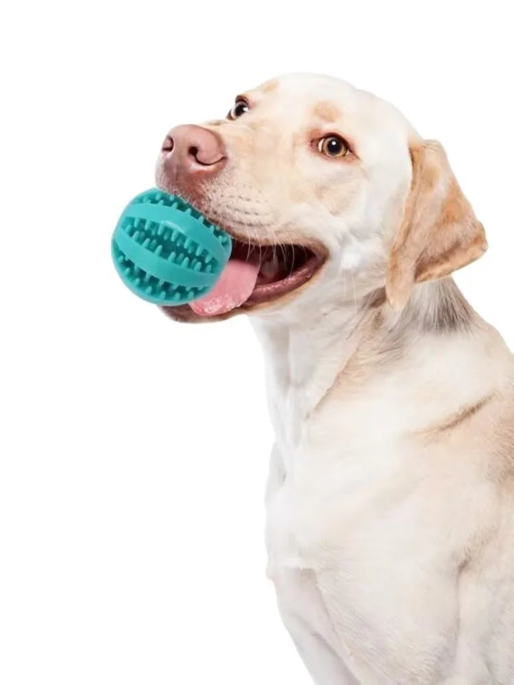 Interactive Rubber Ball | Puppy Chewing Toys | Tooth Cleaning Ball | Treat Feeder Silicone Toy For and Dogs