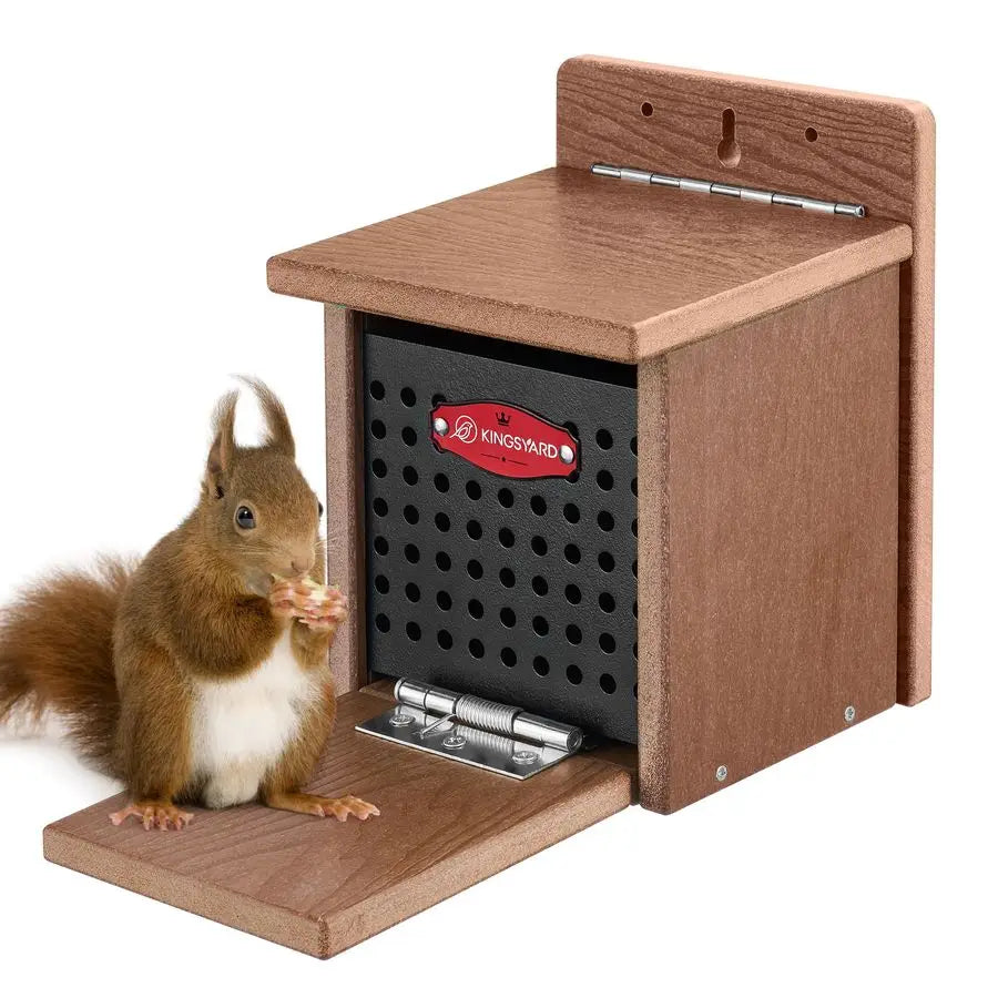 Squirrel Feeder Box for Outside, Recycled Plastic  with Removable Metal Front Panel  Perch, Easy to Fill