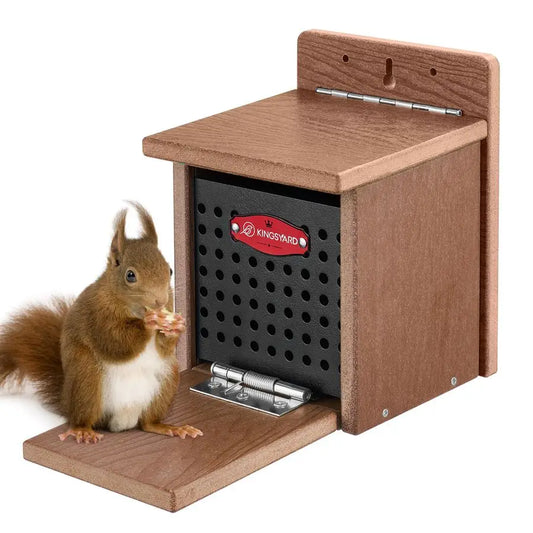 Squirrel Feeder Box for Outside, Recycled Plastic  with Removable Metal Front Panel  Perch, Easy to Fill