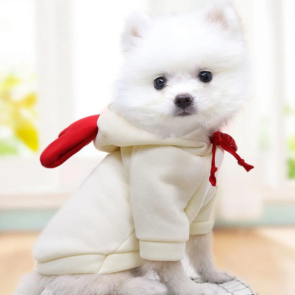 Cute Fruit Dog Clothes for Small Dogs | Hoodies Warm Fleece  Christmas Costume Coat for Dogs And Cats