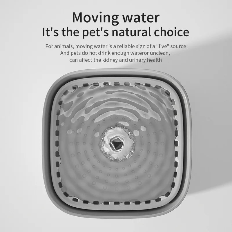 3L Cat Water Fountain Auto Recirculate Filter | Large Capacity | USB Electric Mute Cats Water Dispenser