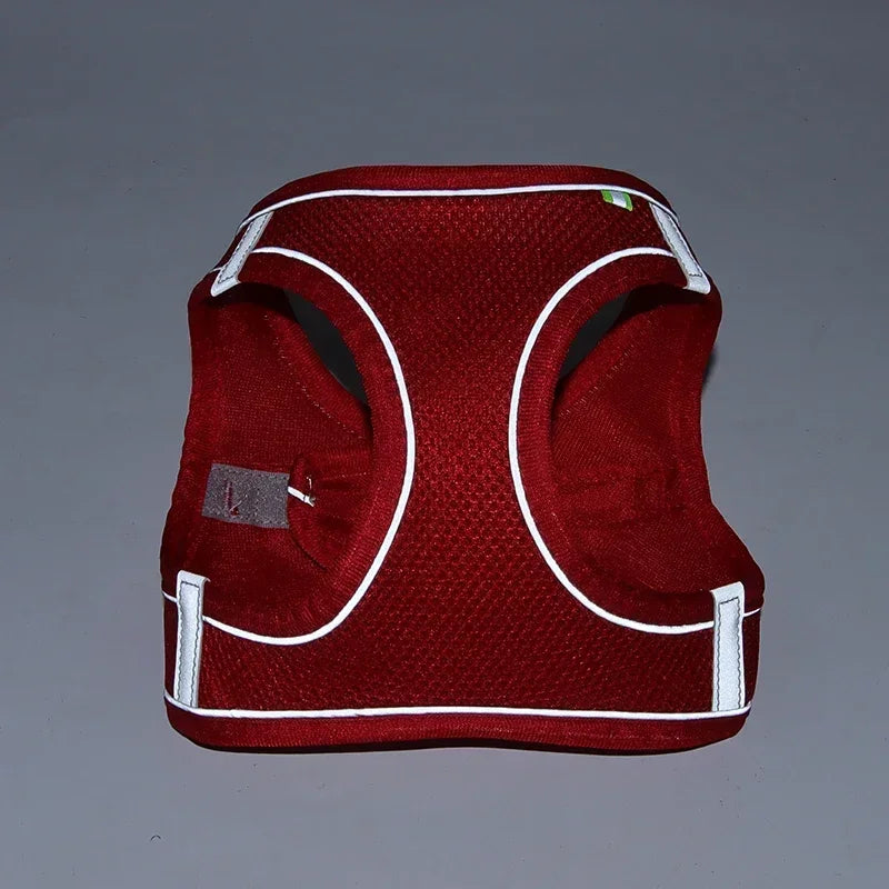 Adjustable Harness Set for  Puppy and Cat Harness Vest suitable for French Bulldog, Chihuahua, Small Dog Collar Pet Leash