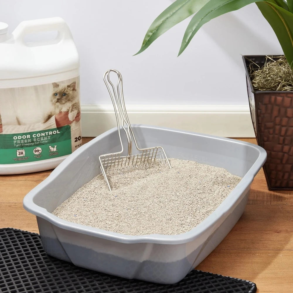 4 Pack Clumping Cat Litter Fresh Scent 20 lbs Jug | Heavy Duty Unscented Odor Control |  Multi Cat Strong Clump Bentonite