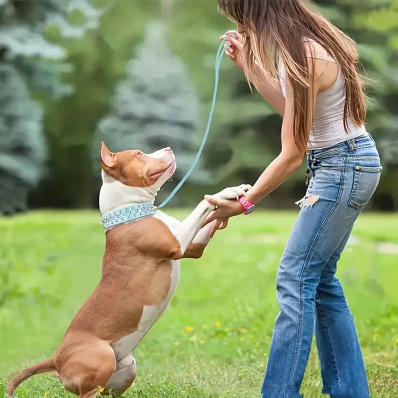 High Quality Dog Rivet Collar and Leash Set | Anti Bite  Collars for Medium Large Dogs