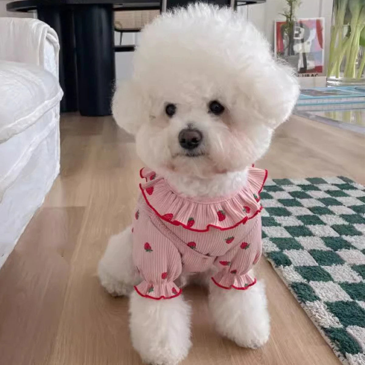 Strawberry Small Dog Clothes | Summer Breathable Clothing  for Small Cat/Dog Vest Ruffled Collar