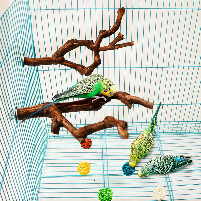 Standing Stick Wild Grape Wood Pole for Parrot/Cockatiel/Parakeet | Bite Claw Grinding Toy Bird Cage Accessories