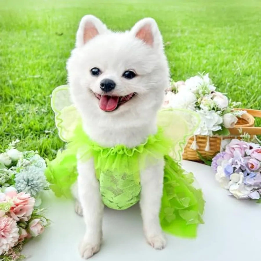 【Spot goods】Rainbow Butterfly Dog Dresses for Small Dog |  Lace Tutu Princess Dress Cat Outfit Butterfly Costume
