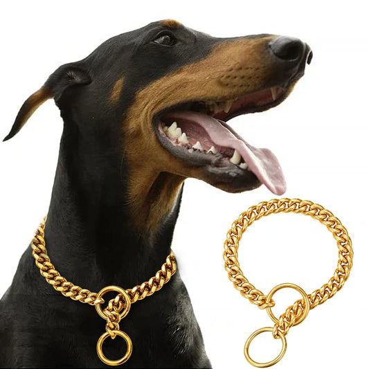 Stainless Chain Large Collar  Dogs Medium | Small Steel Gold  link for  Walking/Training