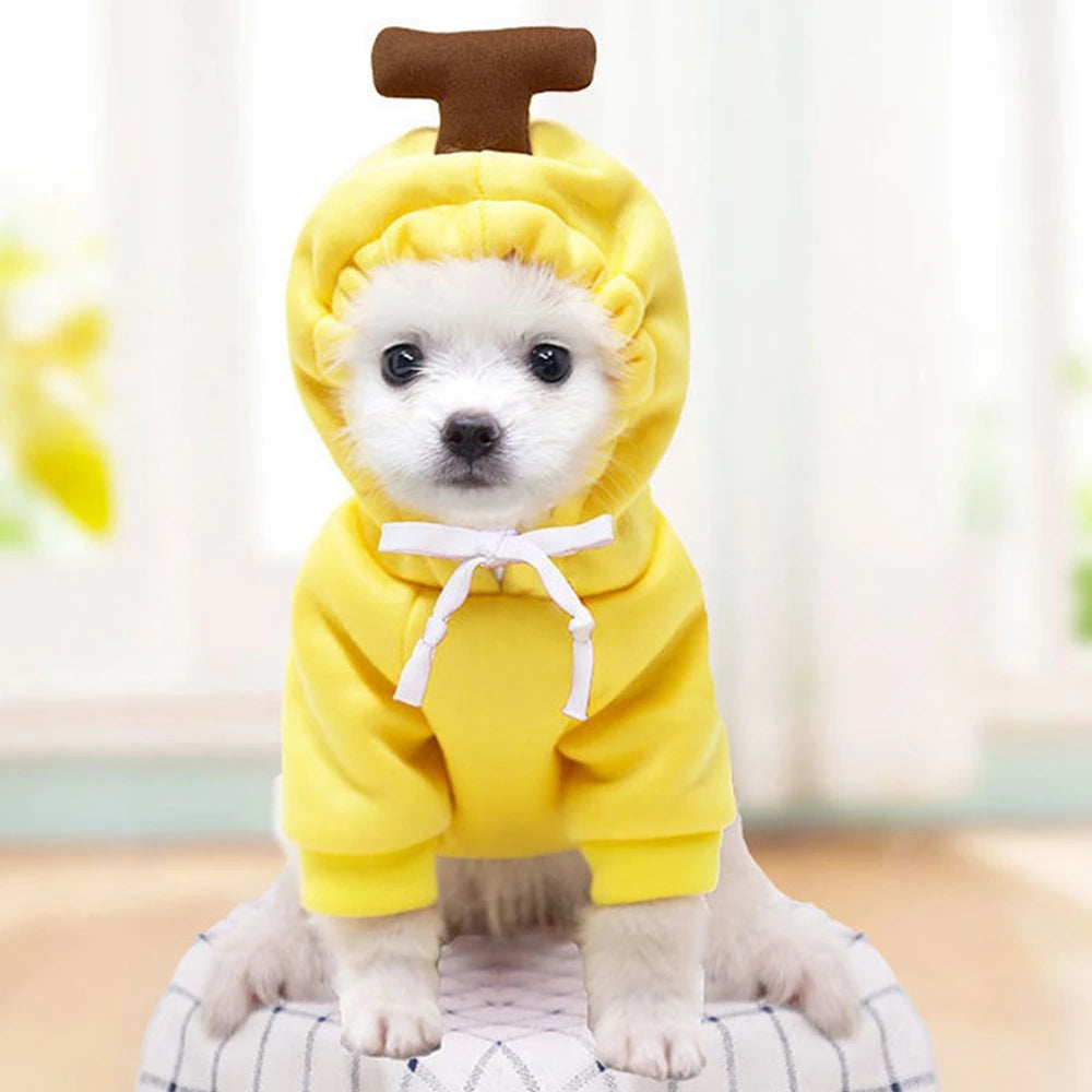 Cute Fruit Dog Clothes for Small Dogs | Hoodies Warm Fleece  Christmas Costume Coat for Dogs And Cats