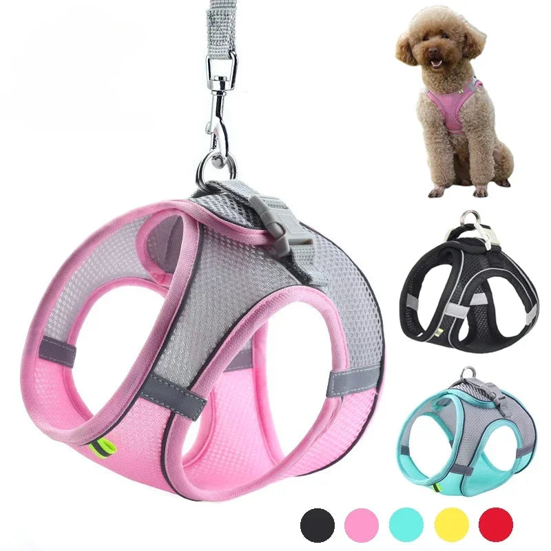 Adjustable Harness Set for  Puppy and Cat Harness Vest suitable for French Bulldog, Chihuahua, Small Dog Collar Pet Leash