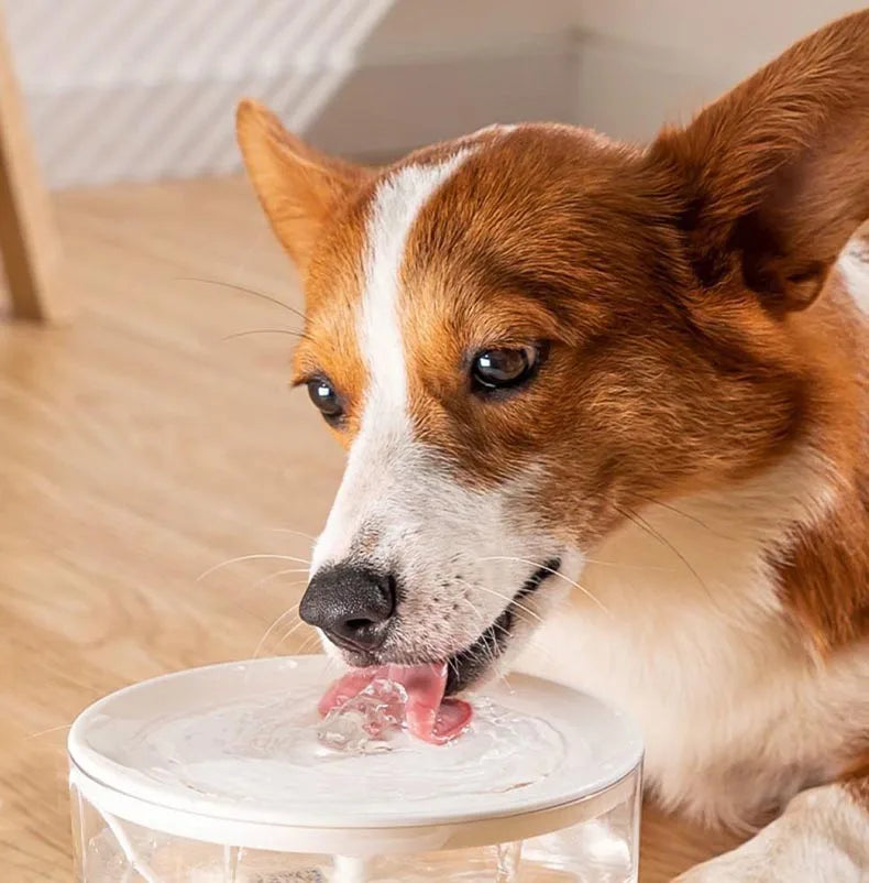 USB Electric Mute 1L Pet Water Fountain Automatic  Water Dispenser For Cats