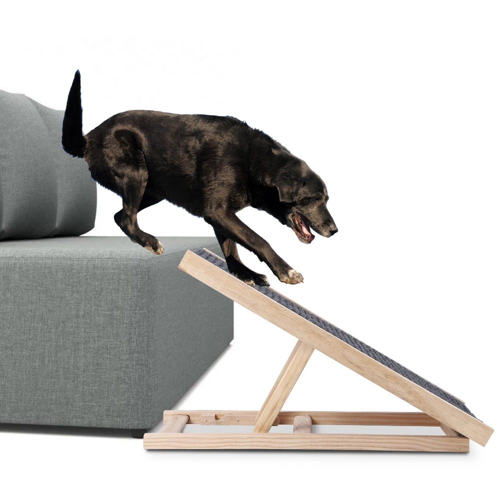 Dog Ramp Ladder Natural Pine Wood | Lightweight Folding |  Anti-skid Adjustable 2 Height Climbing Ladder for Cats, Dogs and small Animals