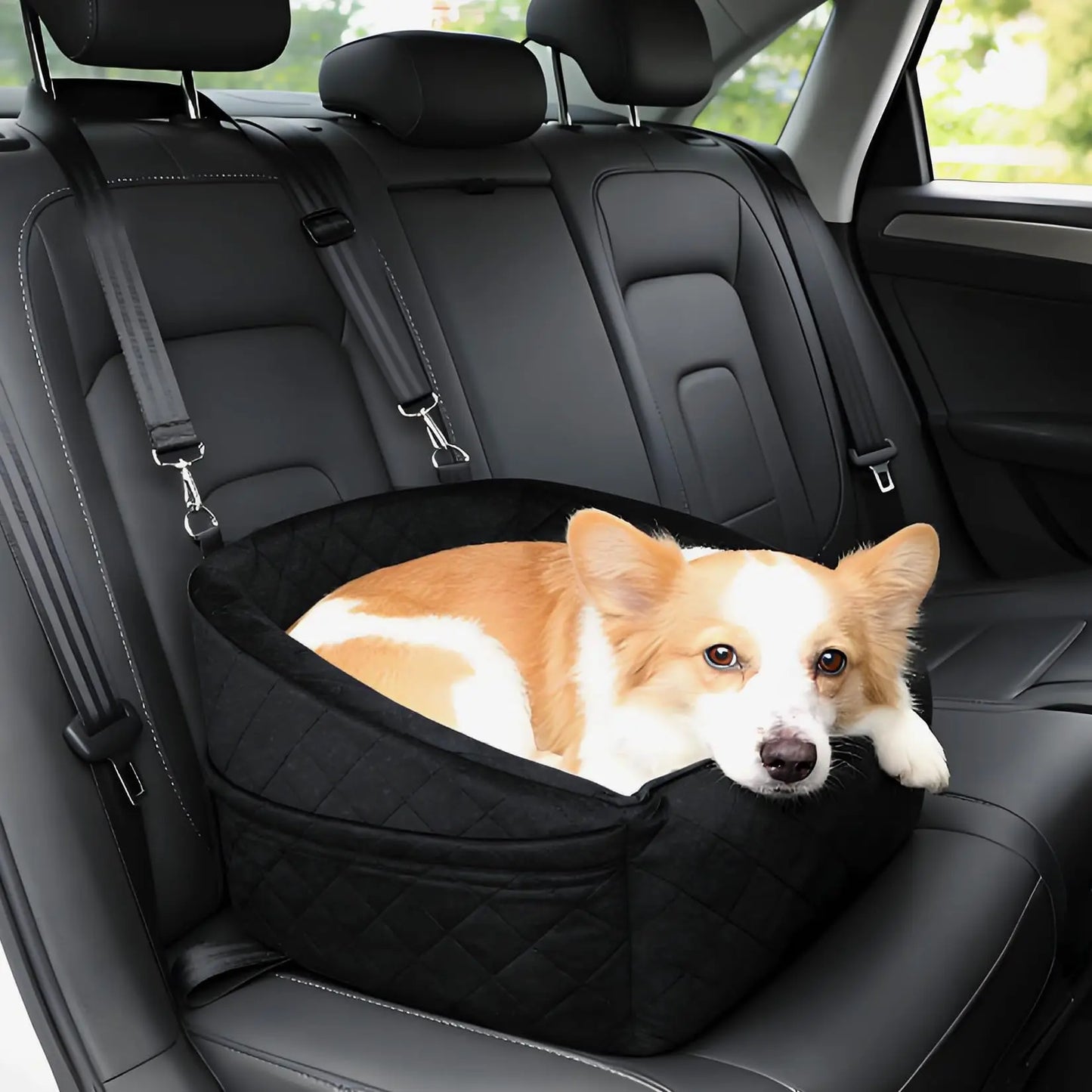Dog Booster Car Seat, Detachable Washable with Safety Belt for Small Medium Puppies Cats Under 30-35 LB