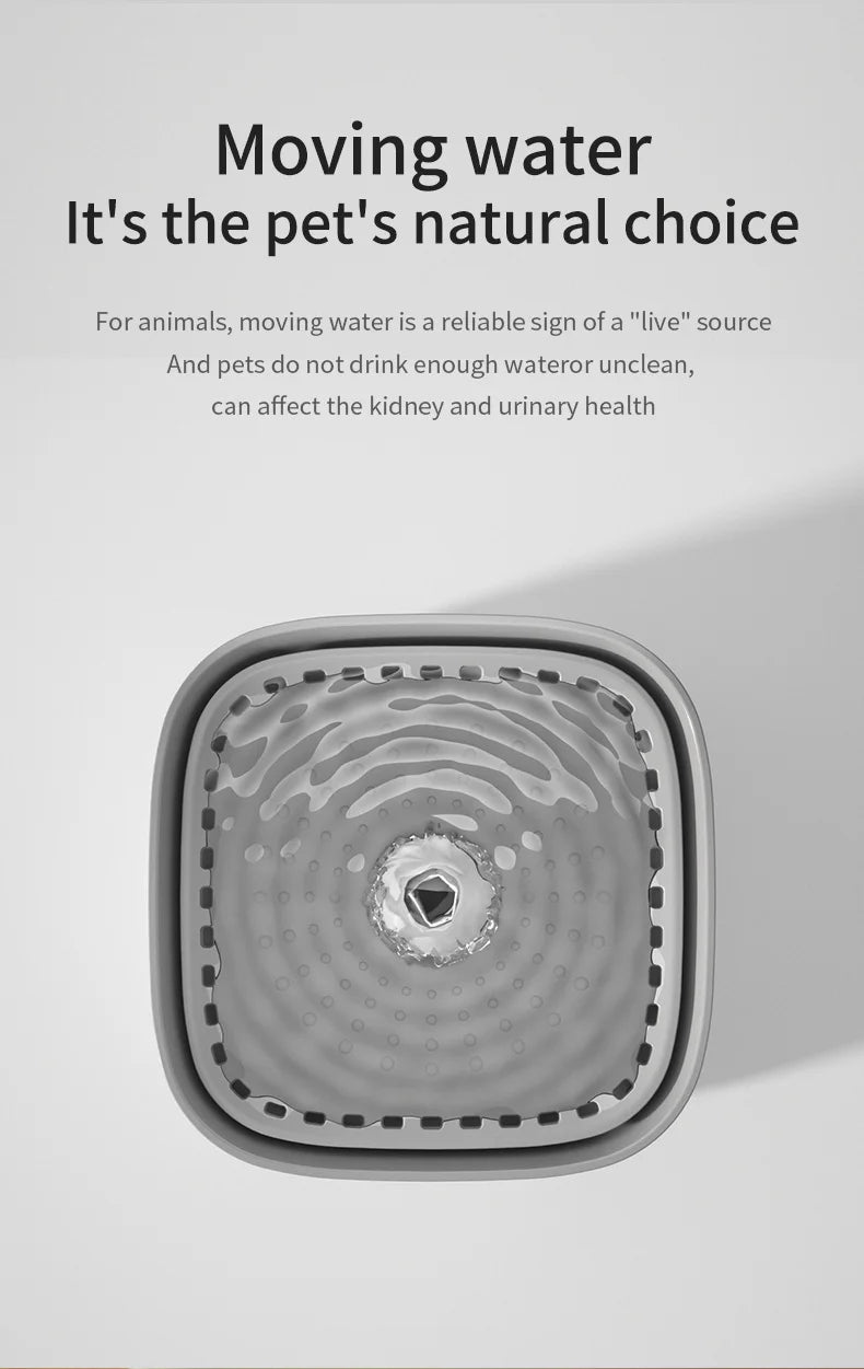 3L Cat Water Fountain Auto Recirculate Filter | Large Capacity | USB Electric Mute Cats Water Dispenser