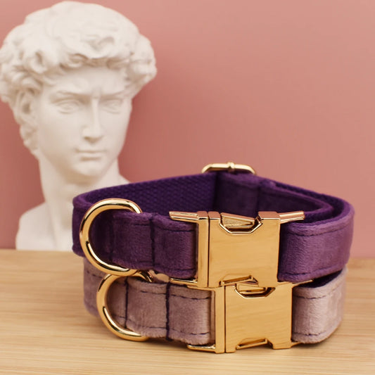 Velvet Dog Collar Leash Free Engrave for Medium Large Dogs Pet Necklace Accessories