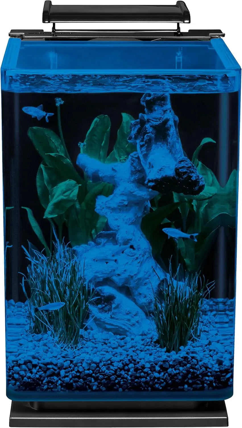 5-Gallon Glass LED Aquarium Kit with Hidden Filtration, Sleek Design and Dual Lighting