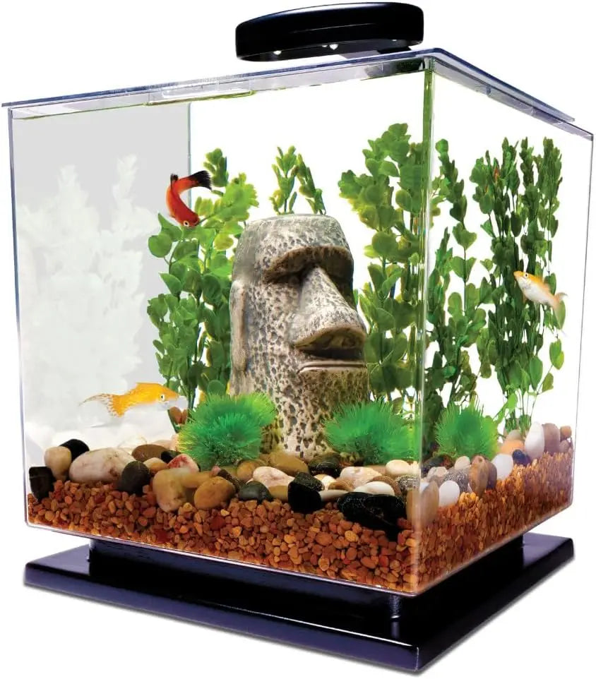 3 Gallon Cube Aquarium Kit with LED Light, Filter & Pedestal Base for Small Fish