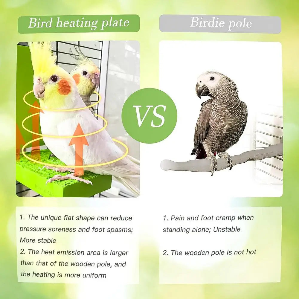 Bird Cage Heater Stand Platform |  Automatic Bird Platform Heater For Budgies
