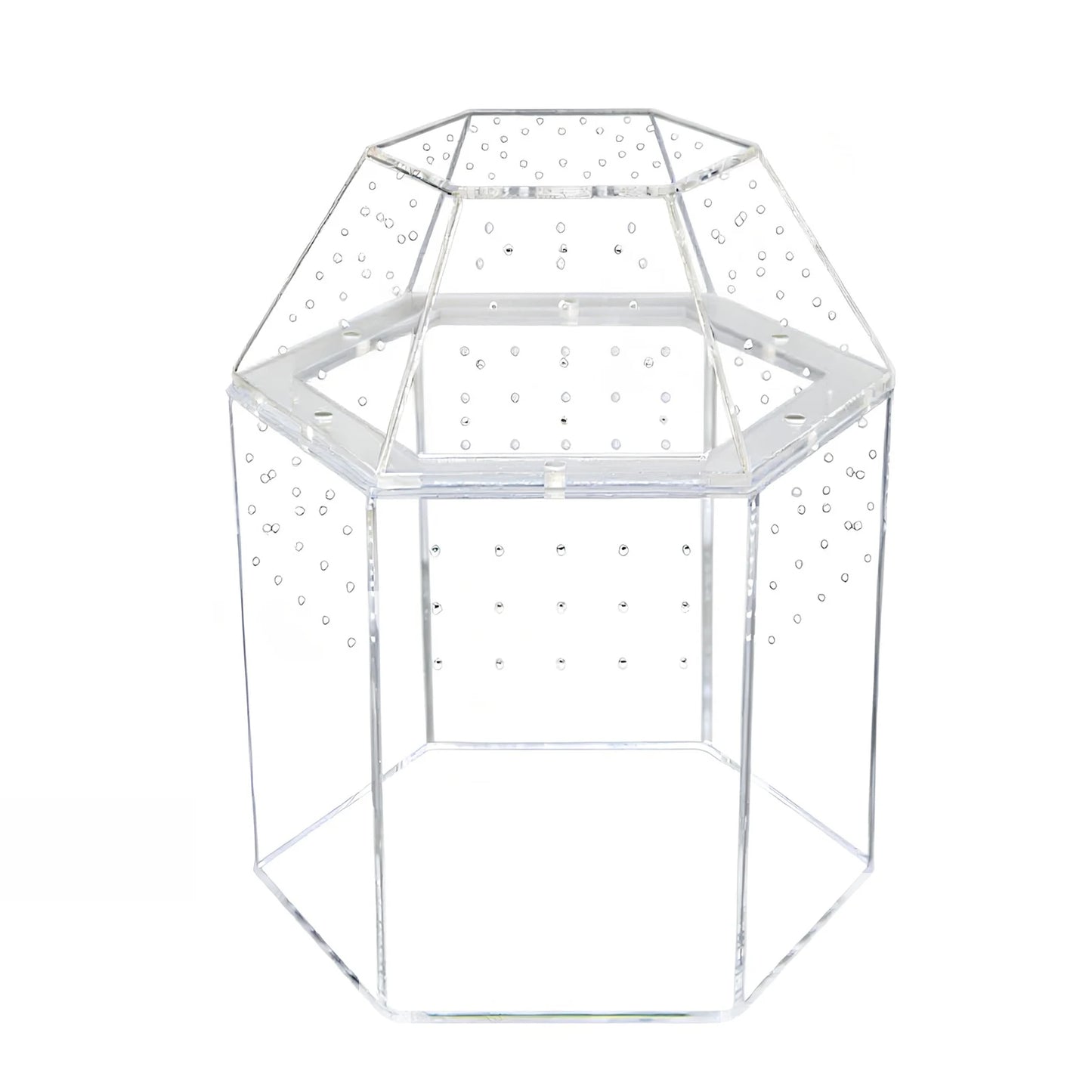 Jumping Spider Enclosure Acrylic Terrarium Habitat All-Side Ventilation, Reptile Breeding Box, Ventilated for Frog, Crickets, Snails